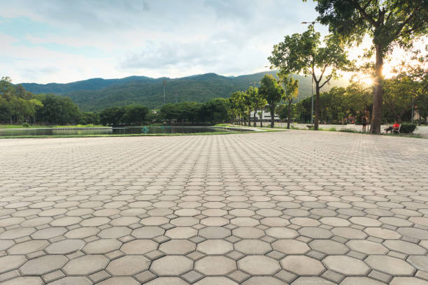 Best Residential Paver Driveway  in Prieton, NC